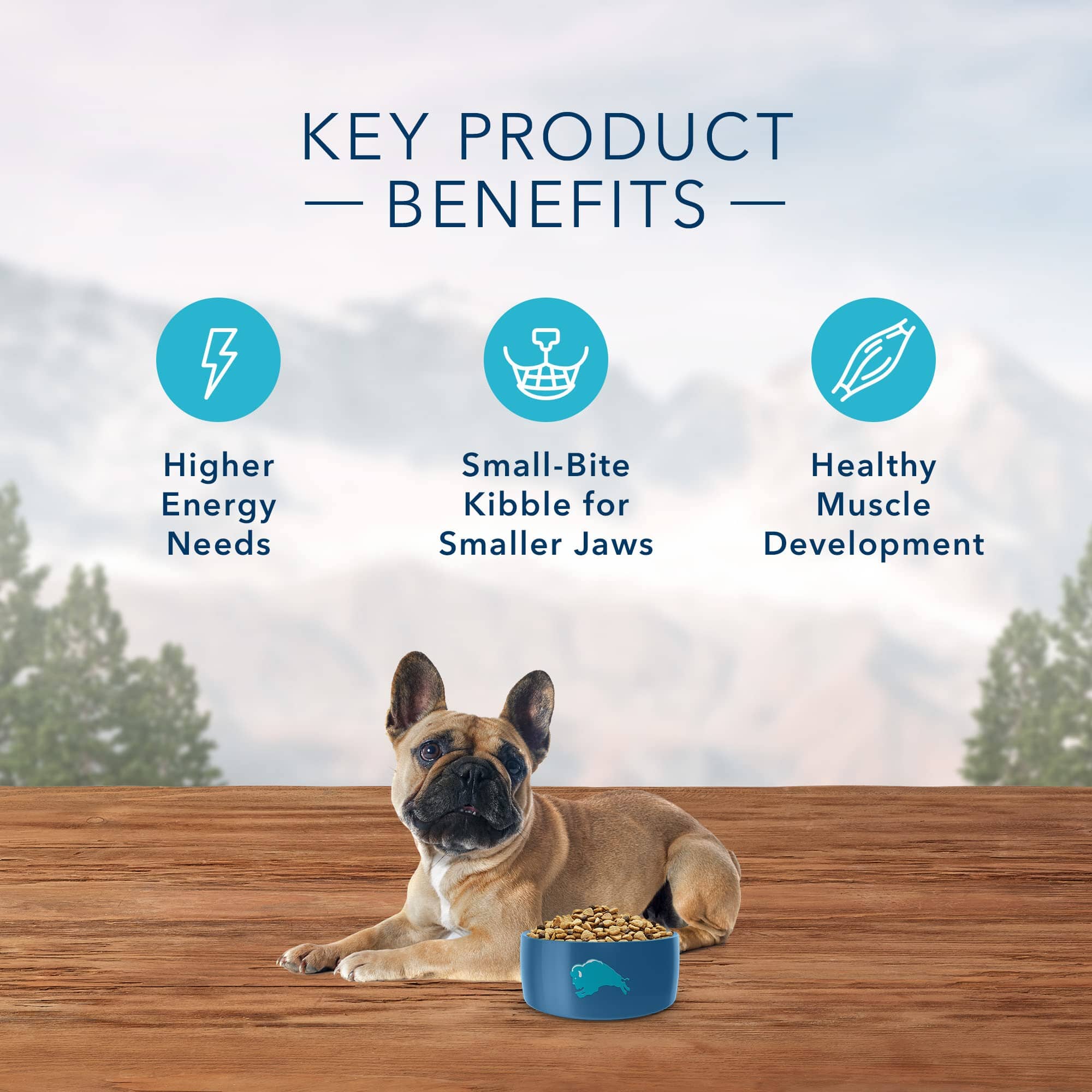 Blue Buffalo Wilderness Adult Small-Breed Chicken Dry Dog Food - 11 Lbs  