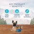 Blue Buffalo Wilderness Adult Small-Breed Chicken Dry Dog Food - 11 Lbs  