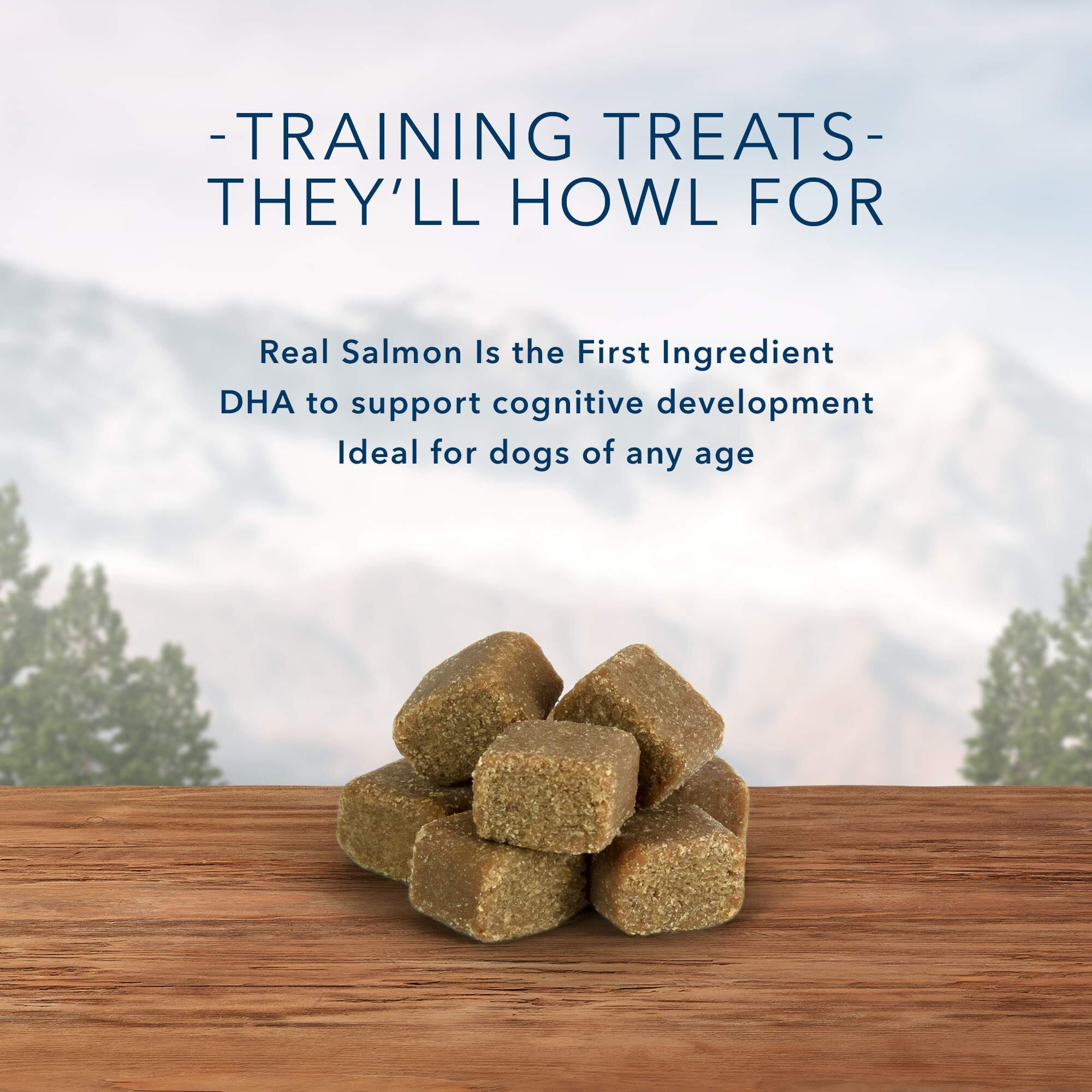 Blue Buffalo Wilderness Bits Trail Treats Grain-Free High-Protein Soft-Moist Salmon Dog Treats - 10 Oz  