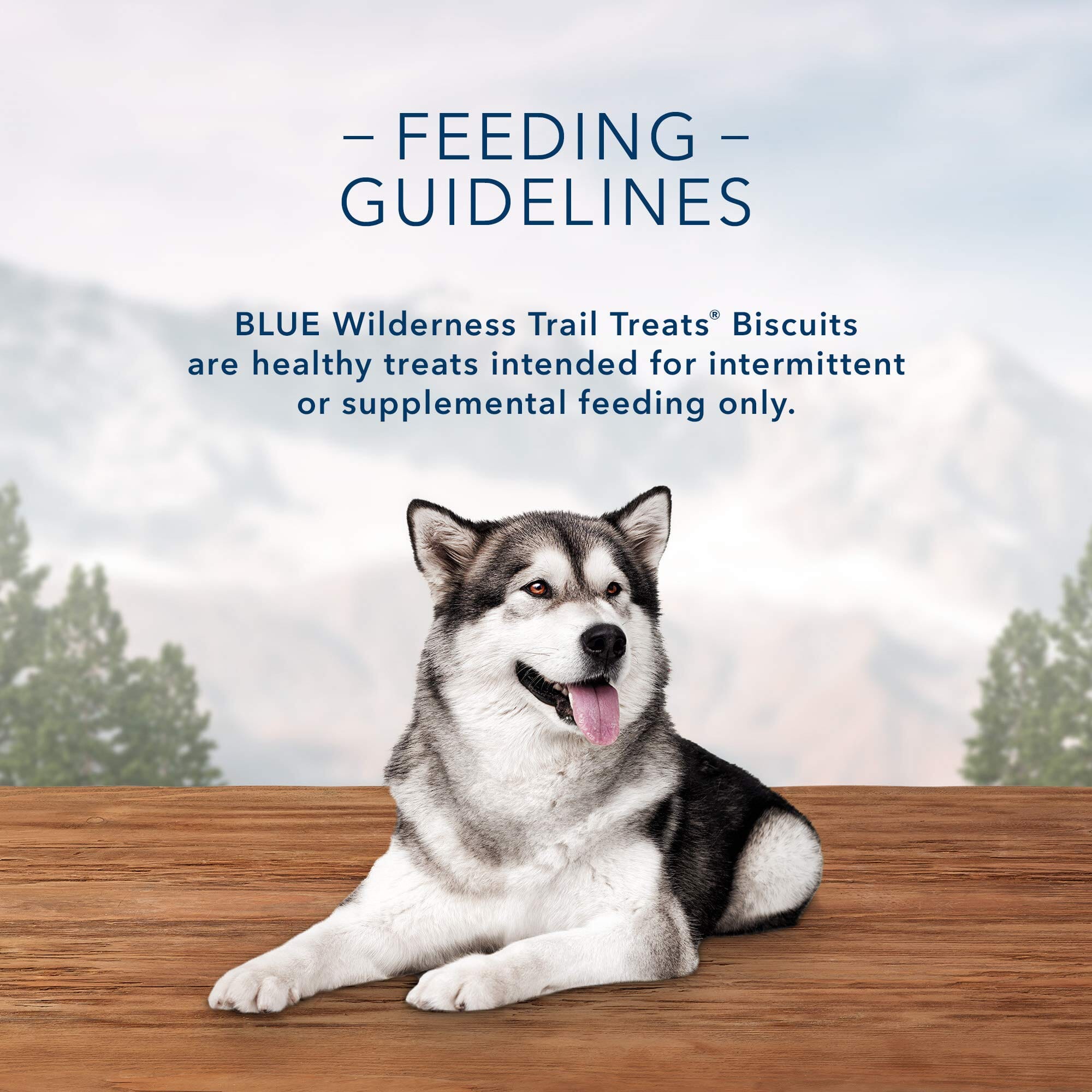 Blue Buffalo Wilderness Denali Dinner High-Protein Grain-Free Salmon Venison and Halibut Dog Biscuits - 8 Oz  