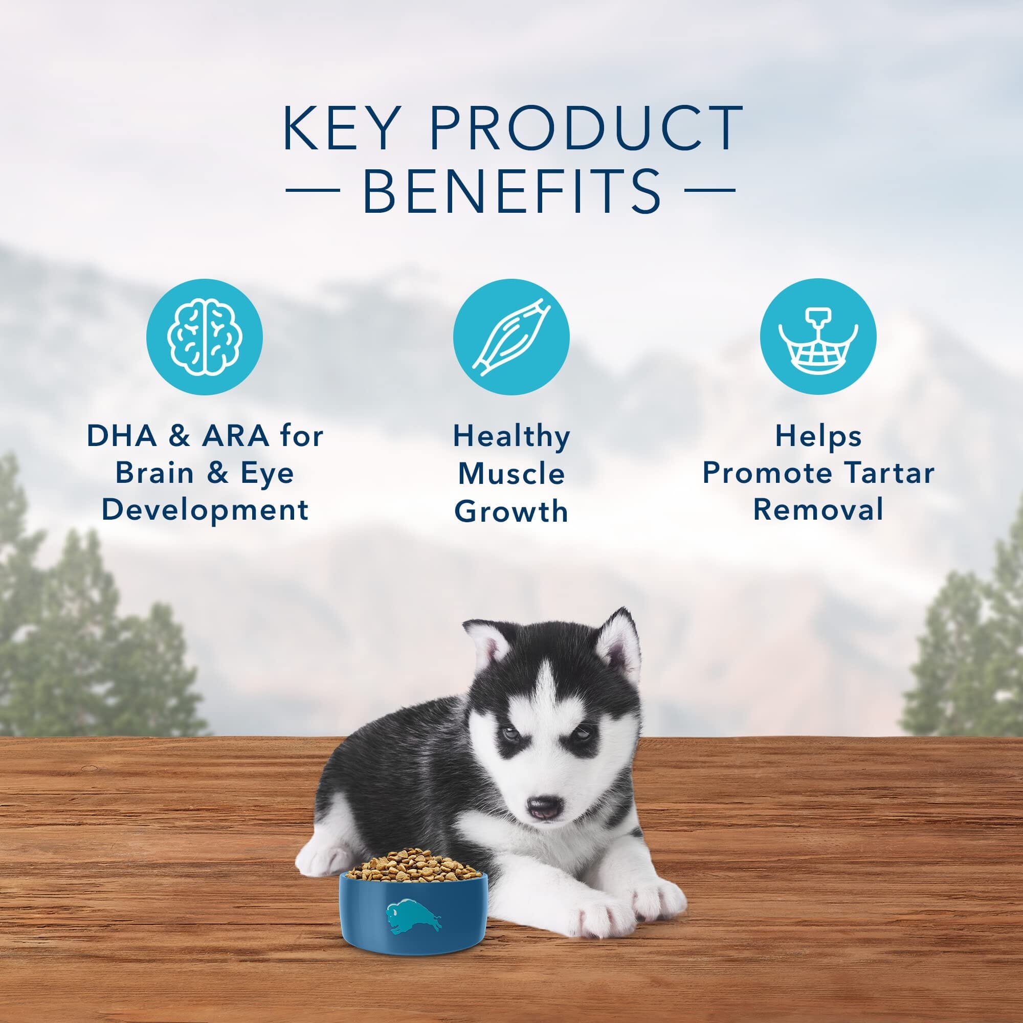 Blue Buffalo Wilderness Puppy High-Protein Chicken with Wholesome Grains Dry Dog Food - 24 Lbs  