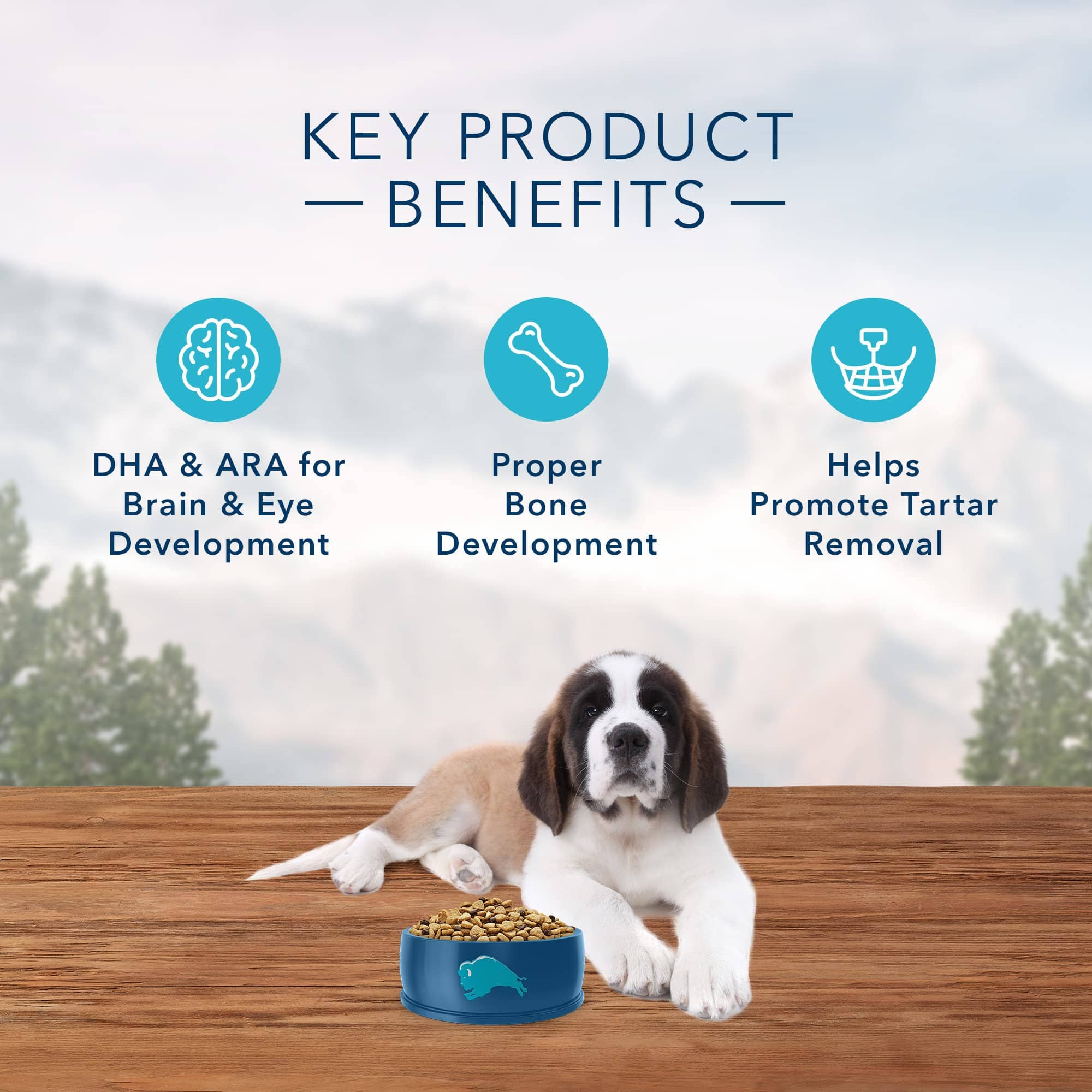 Blue Buffalo Wilderness Puppy Large-Breed High-Protein Chicken Dry Dog Food - 24 Lbs  
