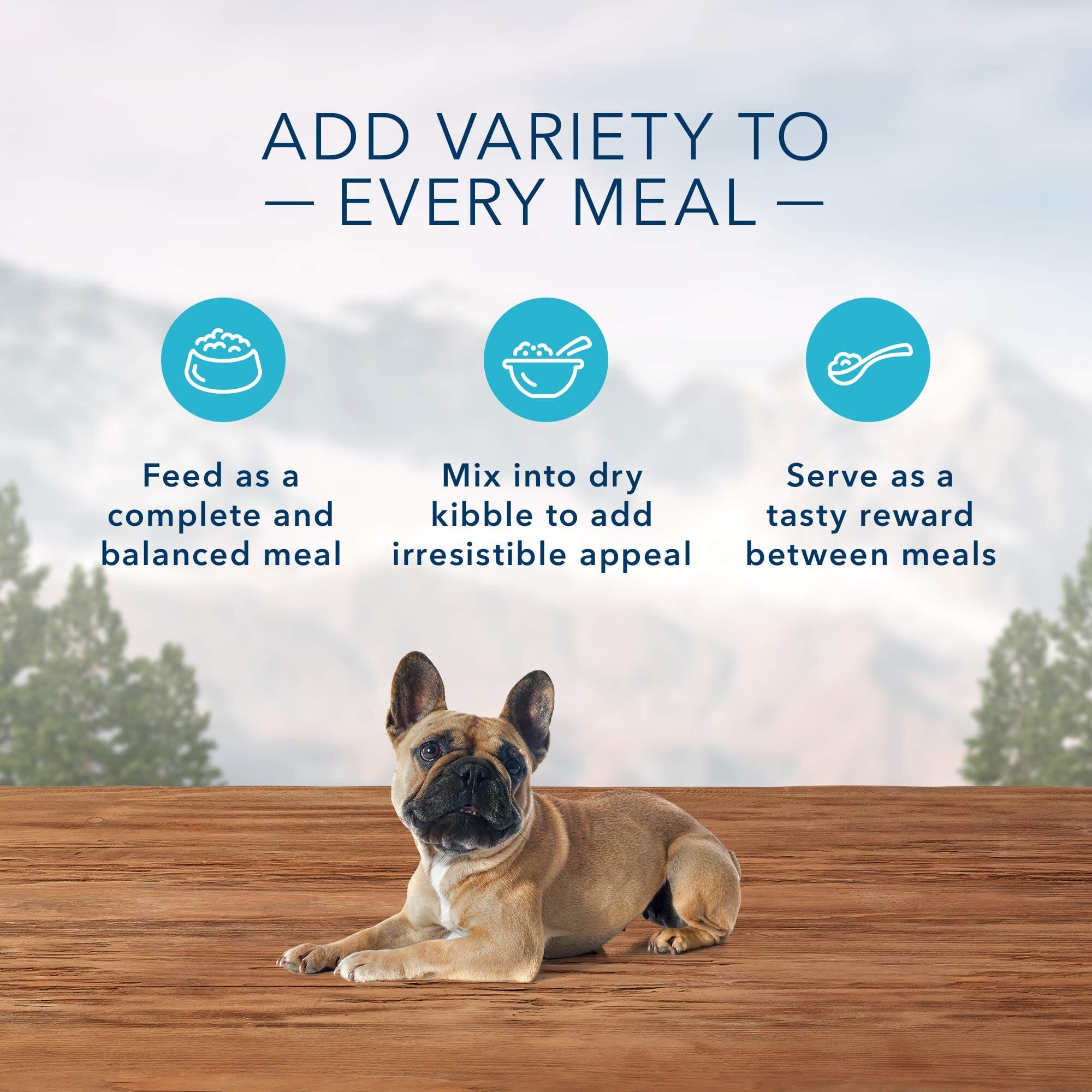 Blue Buffalo Wilderness Small-Breed Grain-Free Turkey and Chicken Canned Dog Food  - 5.5 Oz - Case of 24  