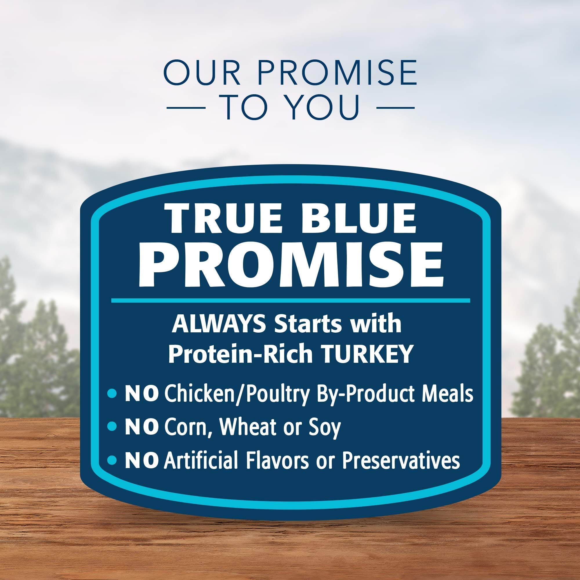 Blue Buffalo Wilderness Small-Breed Grain-Free Turkey and Chicken Canned Dog Food  - 5.5 Oz - Case of 24  