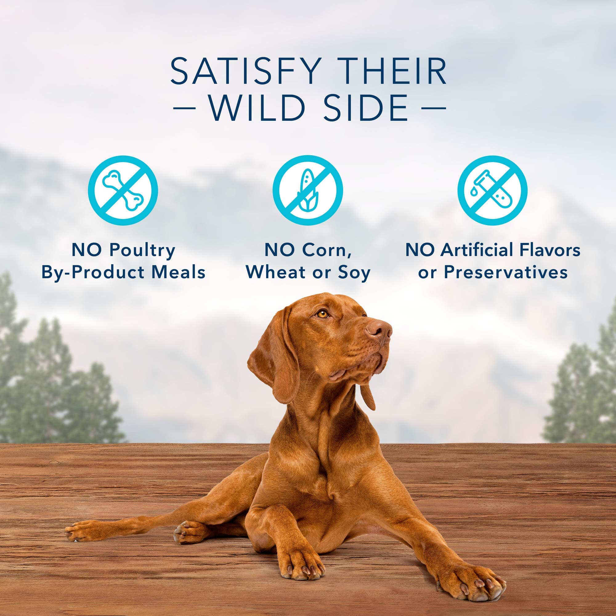 Blue Buffalo Wilderness Trail Treats High-Protein Grain-Free Duck Crunchy Dog Biscuits - 10 Oz  