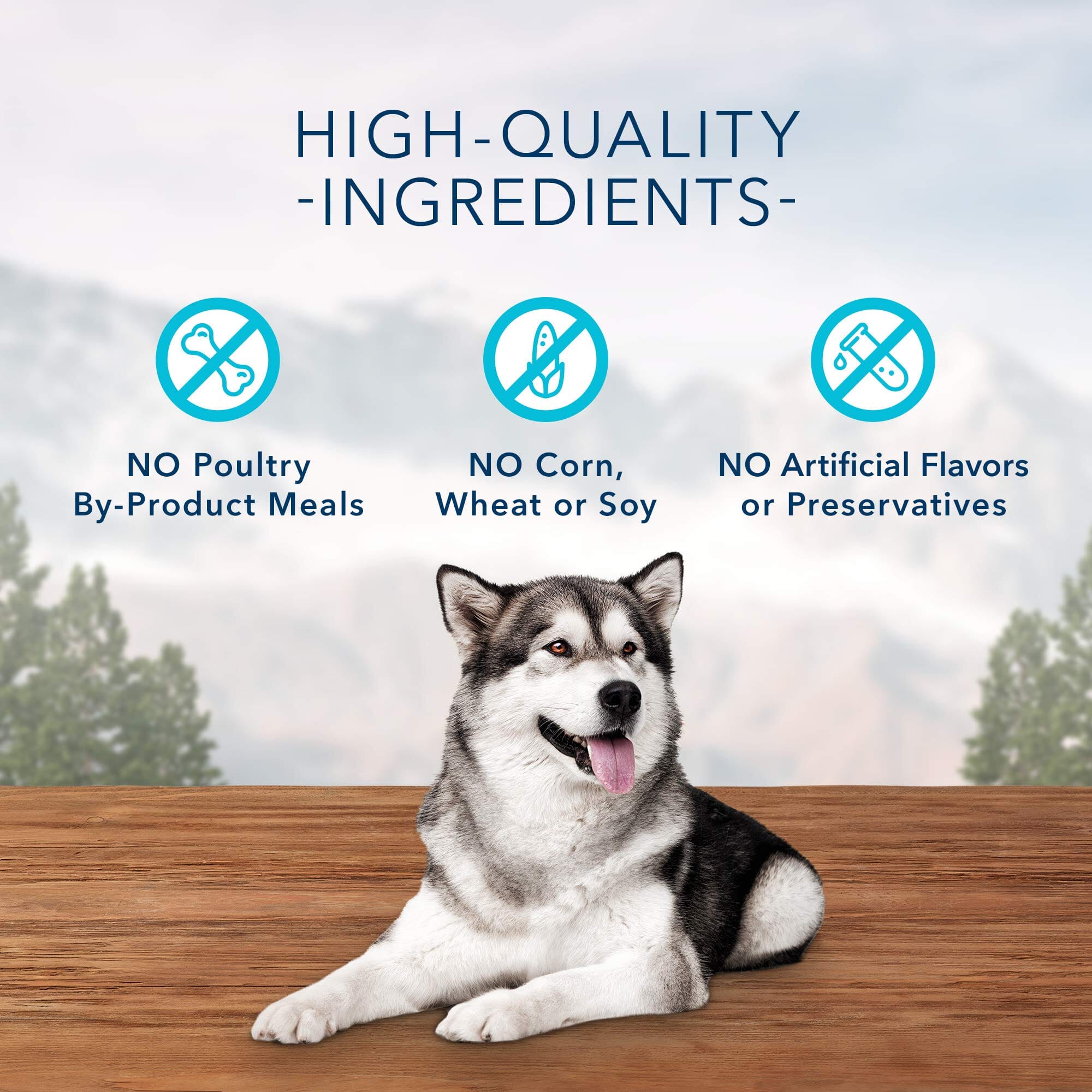 Blue Buffalo Wilderness Trail Treats High-Protein Grain-Free Salmon Crunchy Dog Biscuits - 10 Oz  