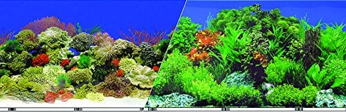 Blue Ribbon Double-Sided Garden/Carribbean Coral Aquarium Background - 24 In X 50 Ft  