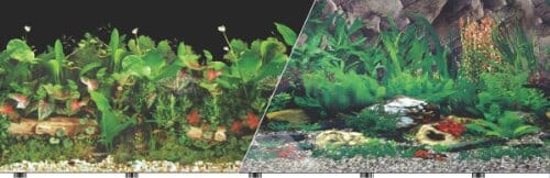 Blue Ribbon Double-Sided Tropical/Freshwater Aquarium Background - 12 In X 50 Ft  