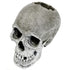 Blue Ribbon Exotic Environments Lifelike Human Skull Tank Accessory  