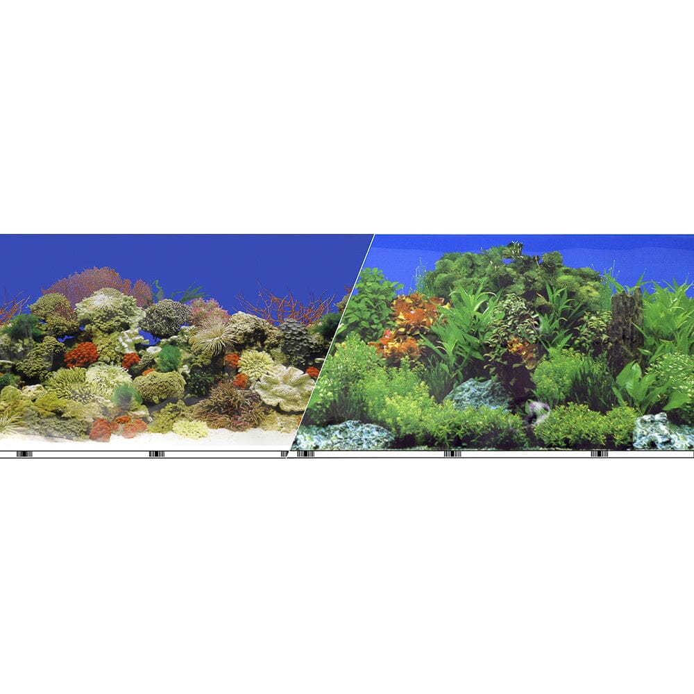 Blue Ribbon Vibransea Freshwater Gardencaribbean Coral Reef Double Sided Tank Background  