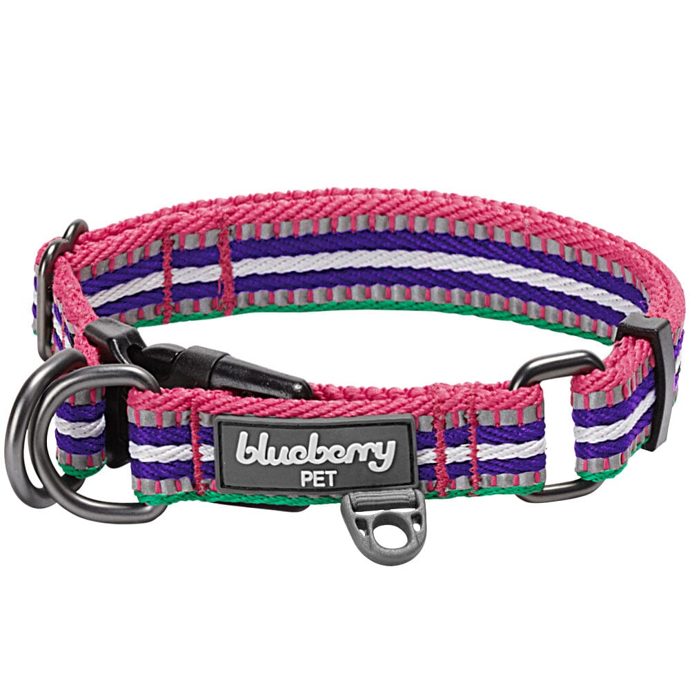 Blueberry Pet 3M Reflective Stripe Adjustable Dog Collar, Pink Emerald and Orchid  