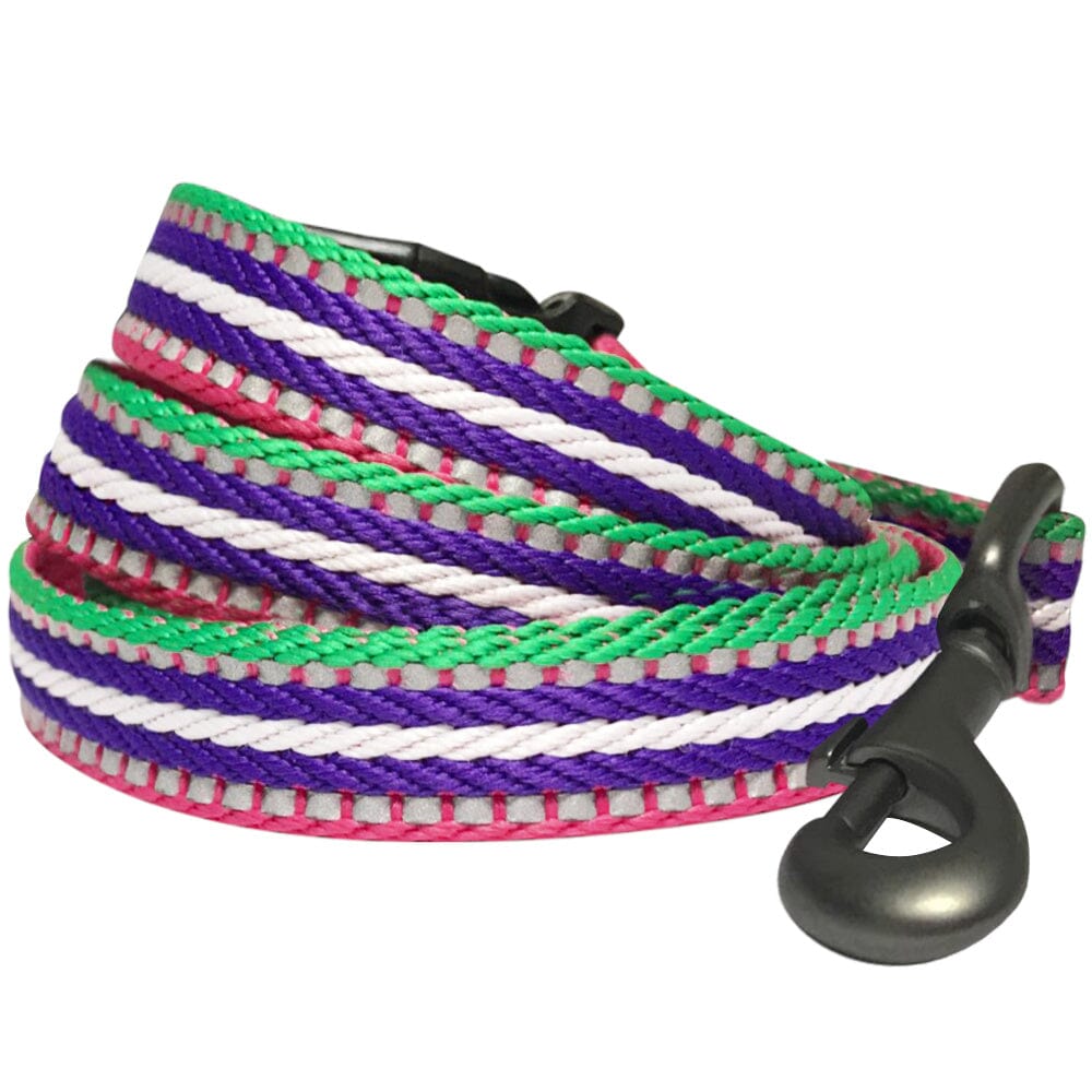 Blueberry Pet 3M Reflective Stripe Dog Leash with Soft & Comfortable Handle, Pink Emerald and Orchid  