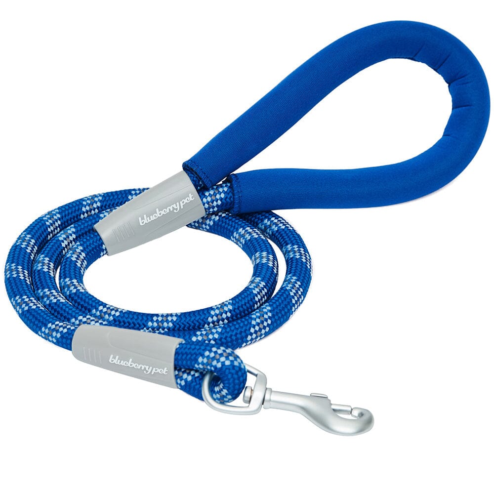 Blueberry Pet Durable Diagonal Striped Rope Leash in Blue with Comfy Neoprene Handle  