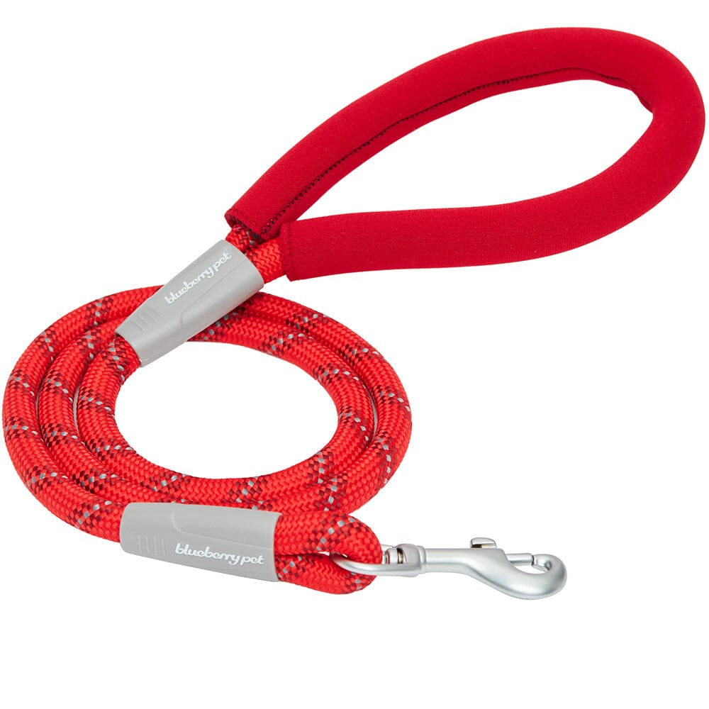 Blueberry Pet Durable Diagonal Striped Rope Leash in Red with Comfy Neoprene Handle  