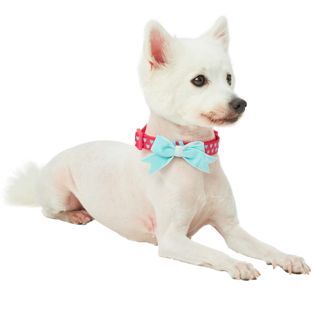 Blueberry Pet Heart Flocking Adjustable Dog Collar, Lust Red with Detachable Velvety Bowtie  