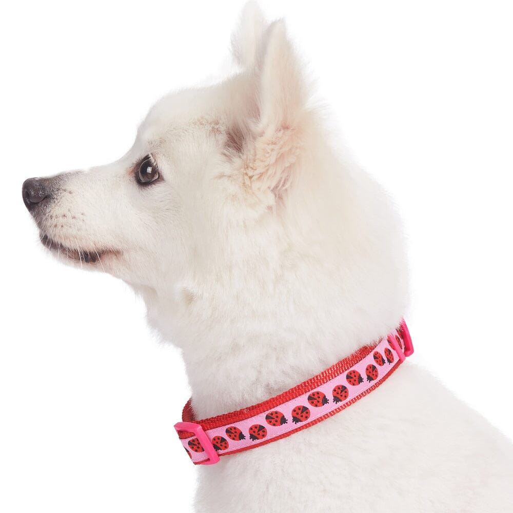 Blueberry Pet Ladybug Designer Basic Dog Collar  