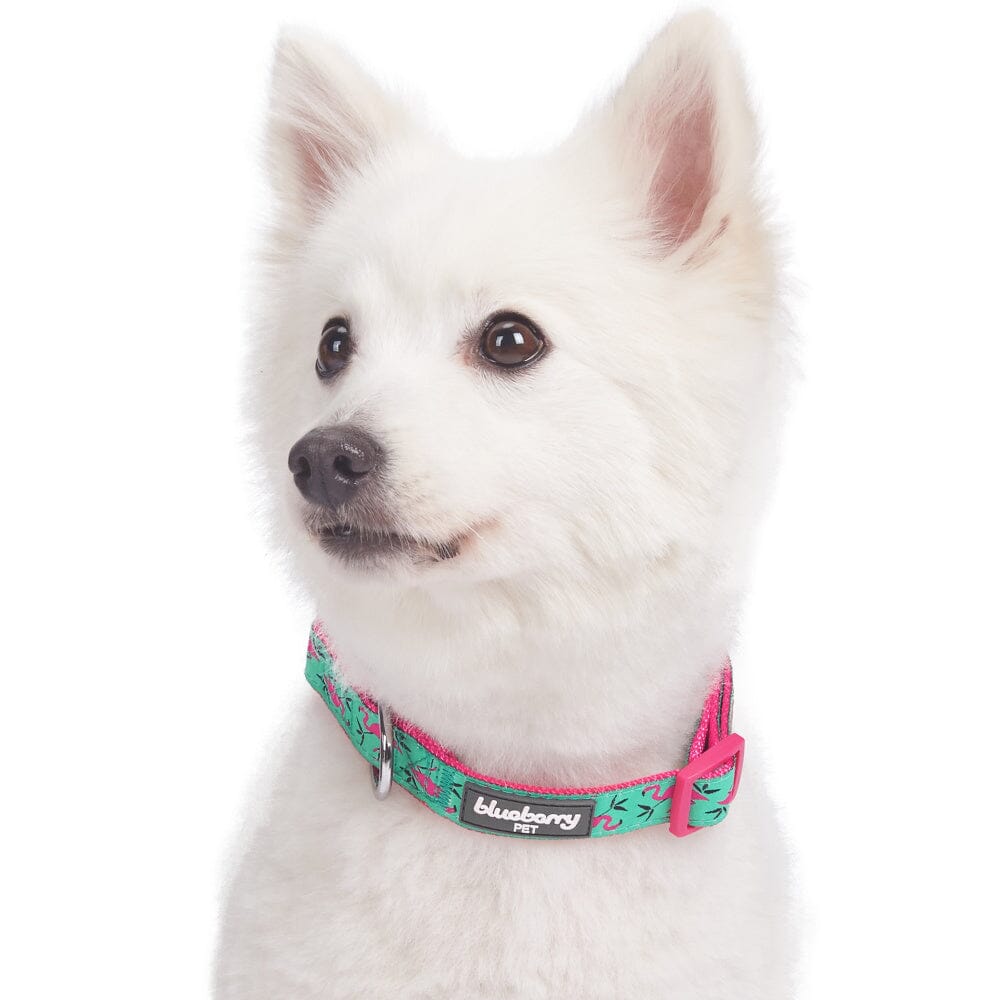 Blueberry Pet Pink Flamingo Light Emerald Dog Collar  