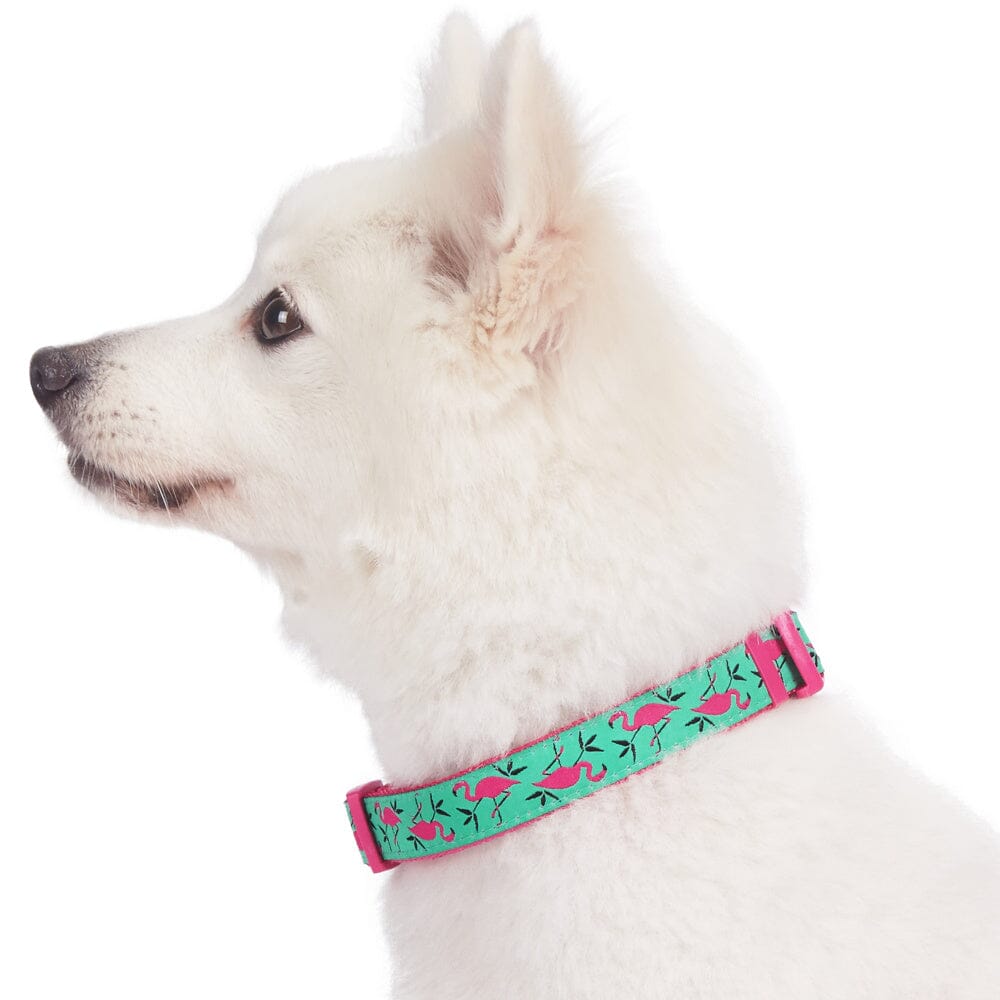 Blueberry Pet Pink Flamingo Light Emerald Dog Collar  