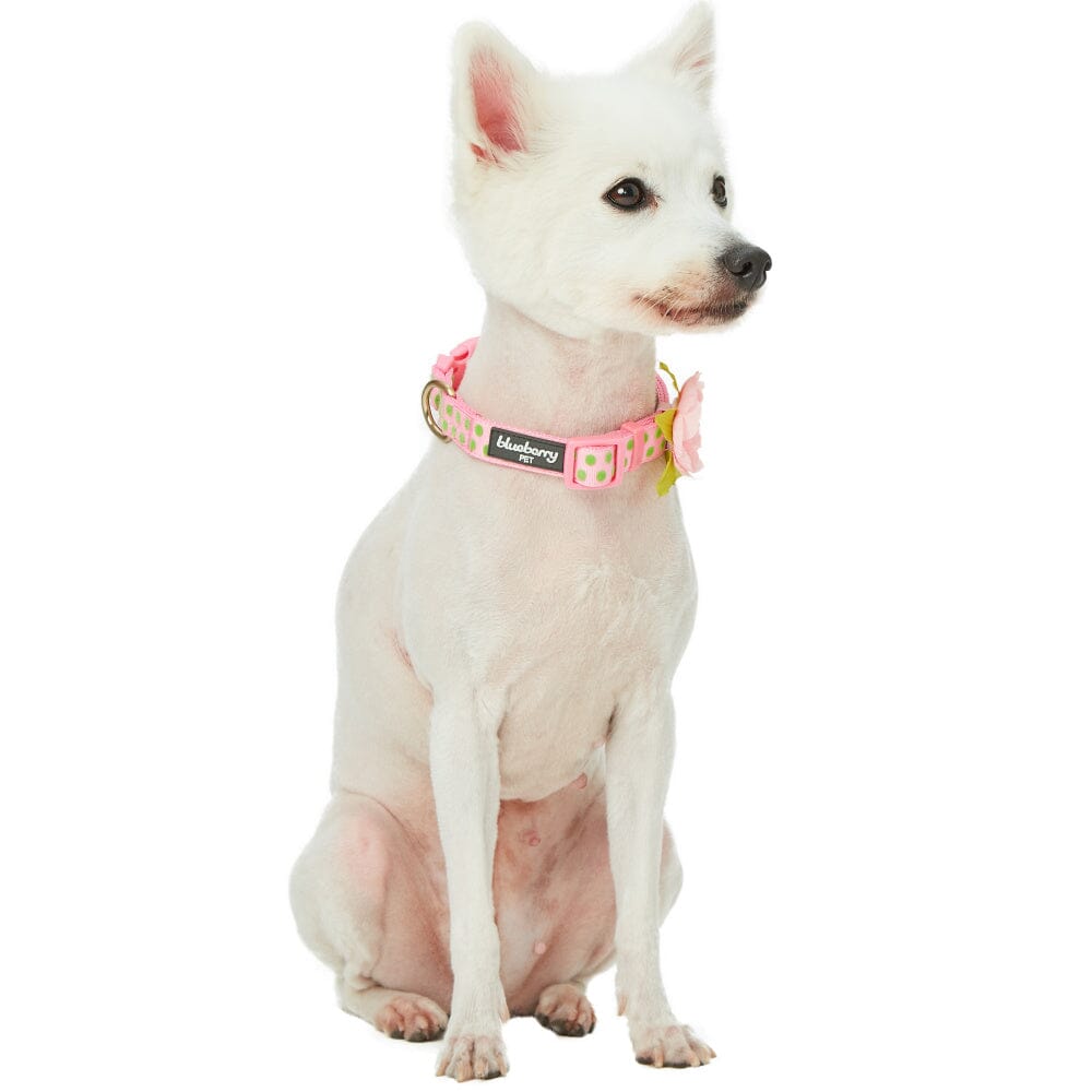 Blueberry Pet Polka Dot Flocking Baby Pink Dog Collar Baby Pink with Detachable Velvety Flower  