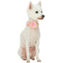 Blueberry Pet Polka Dot Flocking Baby Pink Dog Collar Baby Pink with Detachable Velvety Flower  