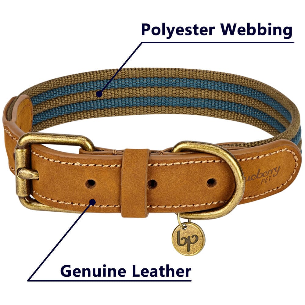 Blueberry Pet Polyester Fabric Webbing and Soft Genuine Leather Dog Collar in Navy and Olive  