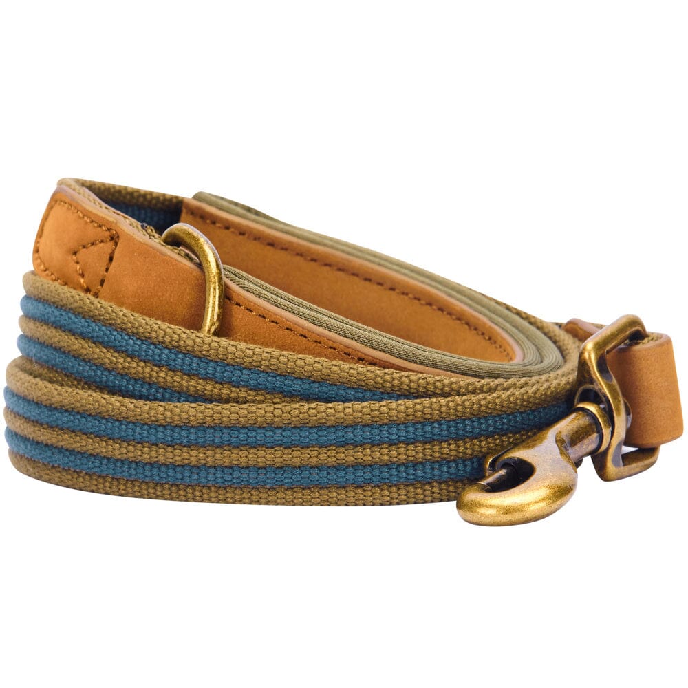 Blueberry Pet Polyester Fabric Webbing and Soft Genuine Leather Dog Leash with Soft and Comfortable Handle,  Navy and Olive  