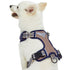 Blueberry Pet Soft and Comfy 3M Reflective Multi-Colored Stripe Mesh Padded No Pull Dog Harness Vest Olive and Blue-Gray  