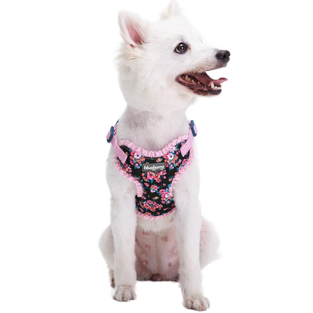 Blueberry Pet Soft and Comfy Elegant Floral No Pull Mesh Puppy Dog Harness Vest in Sleek Black  