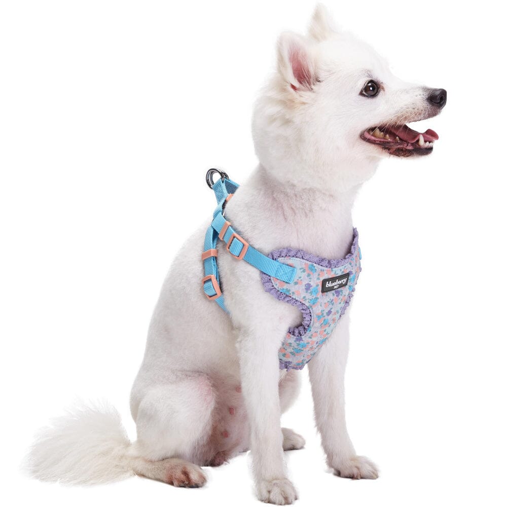 Blueberry Pet Soft and Comfy Lovely Floral No Pull Mesh Puppy Dog Harness Vest in Lavender  