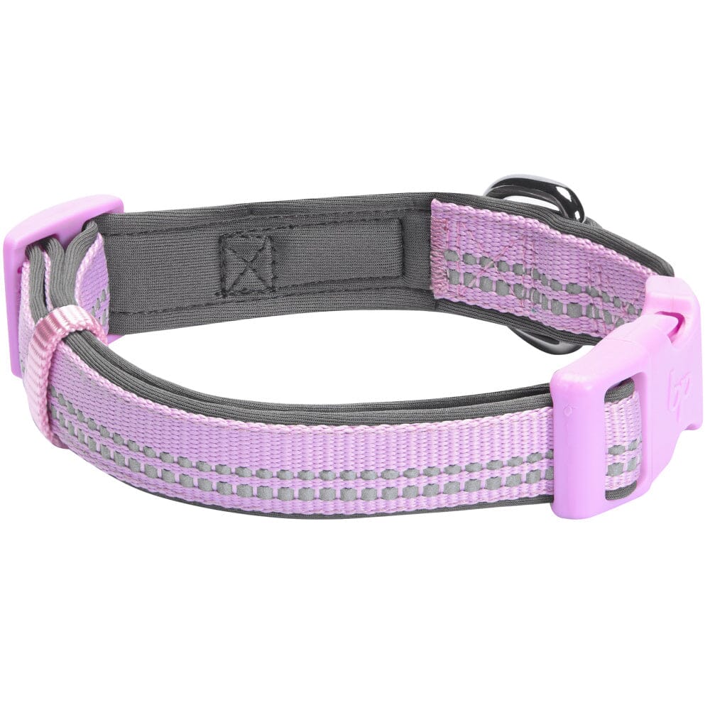 Blueberry Pet Soft & Comfy 3M Reflective Padded Lavender Dog Collar  