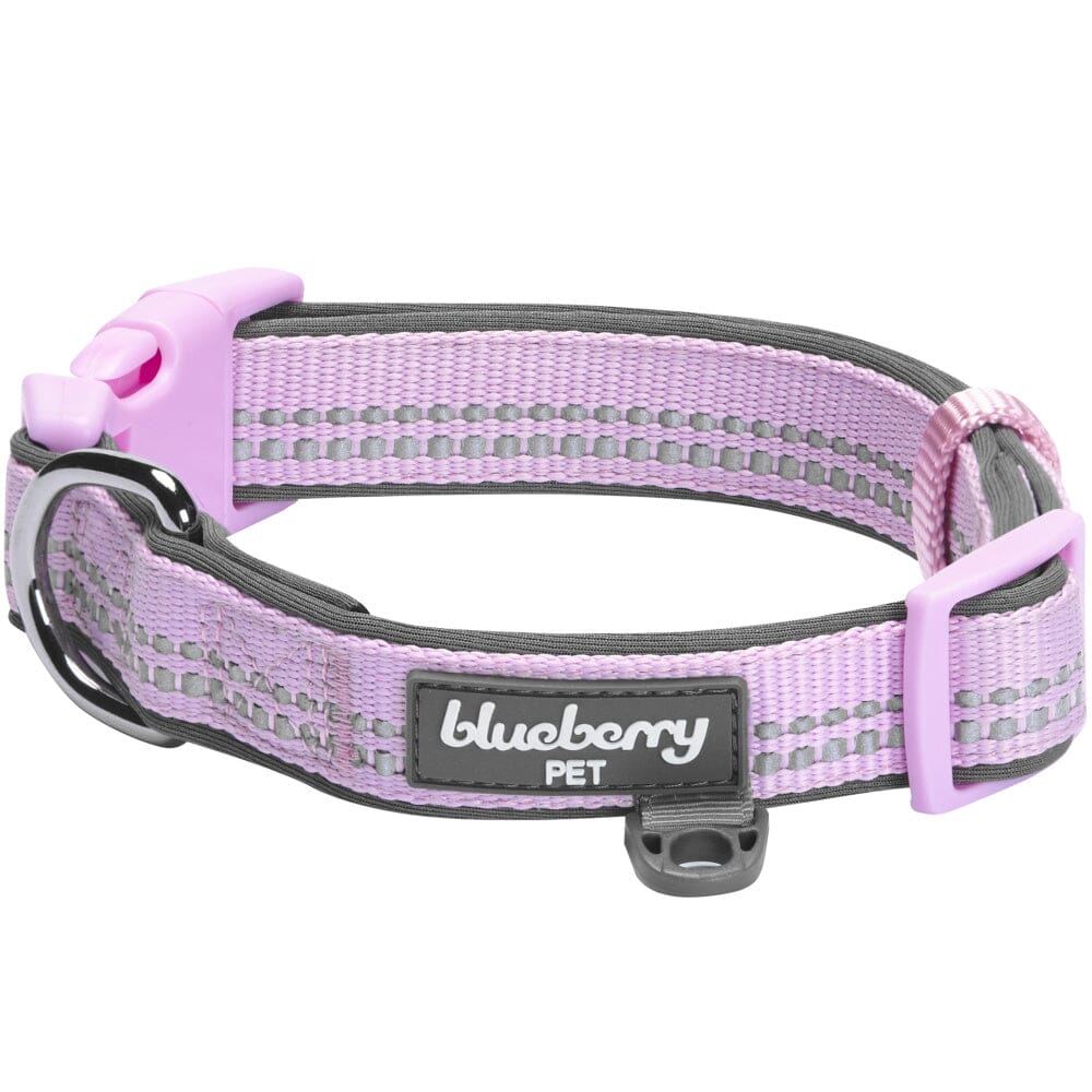 Blueberry Pet Soft & Comfy 3M Reflective Padded Lavender Dog Collar  