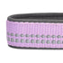 Blueberry Pet Soft & Comfy 3M Reflective Padded Lavender Dog Collar  