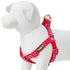 Blueberry Pet Step-in Adjustable Dog Harness, Lust Red with Velvety Heart Flocking  