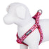 Blueberry Pet Step-in Ladybug Designer Dog Harness  