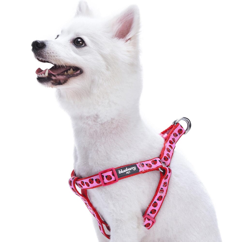 Blueberry Pet Step-in Ladybug Designer Dog Harness  