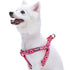 Blueberry Pet Step-in Ladybug Designer Dog Harness  