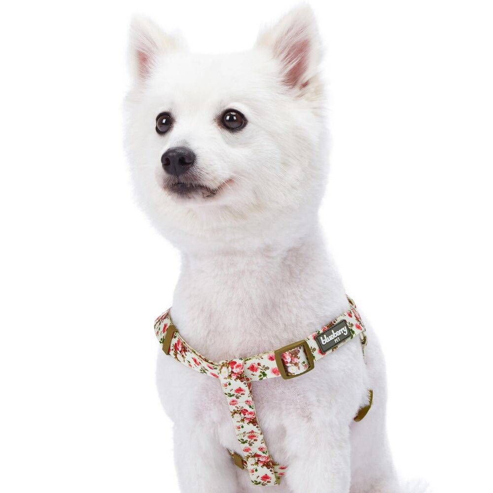 Blueberry Pet Step-in Spring Scent Inspired Adjustable Dog Harness, Pink Rose Print Ivory  