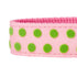 Blueberry Pet Velvety Polka Dot Baby Pink Flocking Dog Leash  