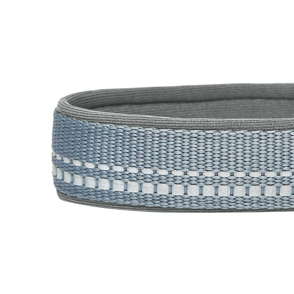 Blueberry Soft & Comfy 3M Reflective Gray Padded Dog Collar  