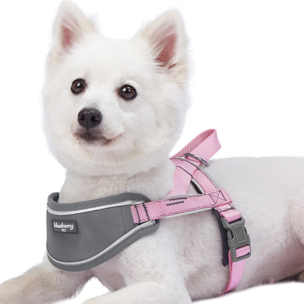 Blueberry Soft & Comfy 3M Reflective Strips Padded Pink Dog Harness Vest  