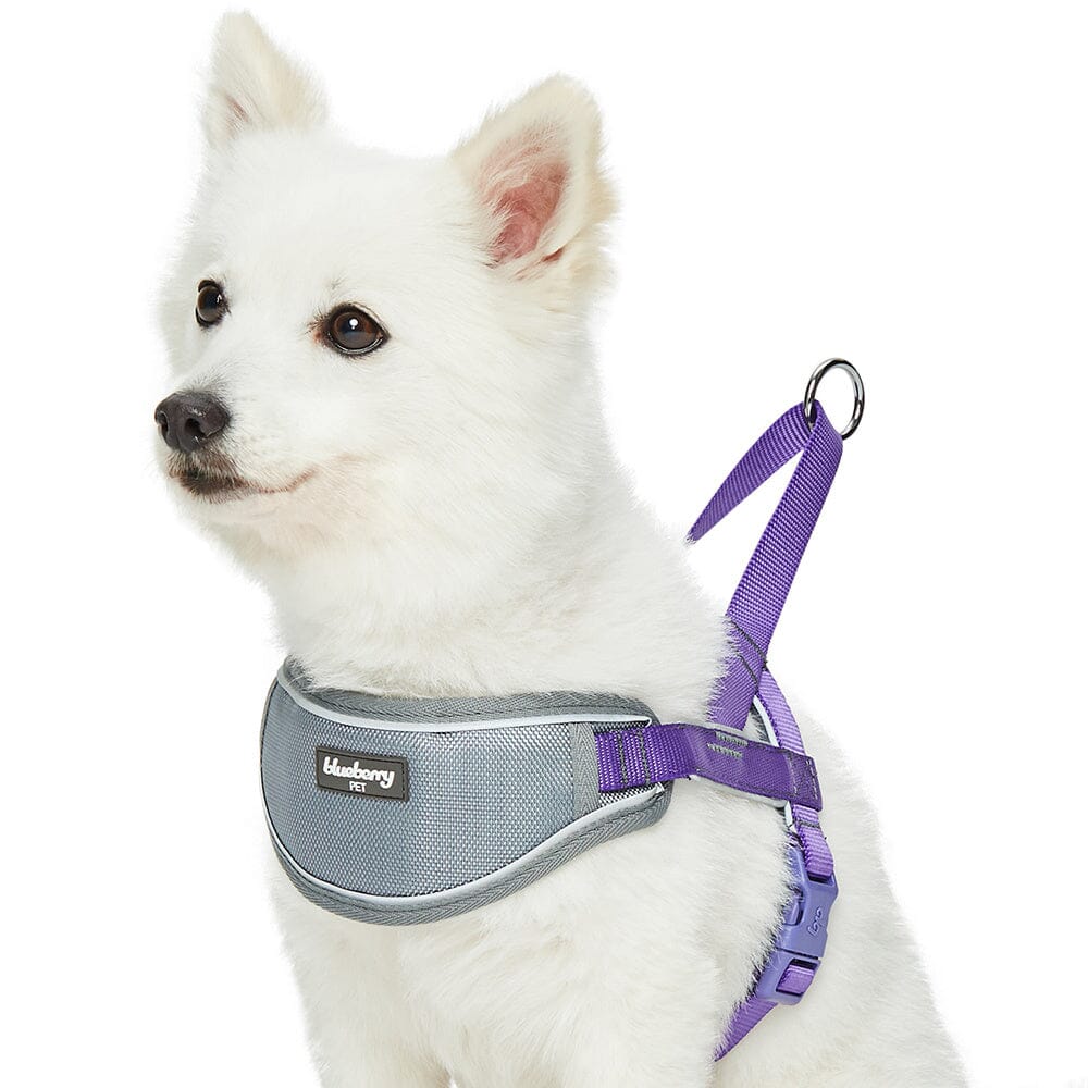 Blueberry Soft & Comfy 3M Reflective Strips Padded Purple Dog Harness Vest  