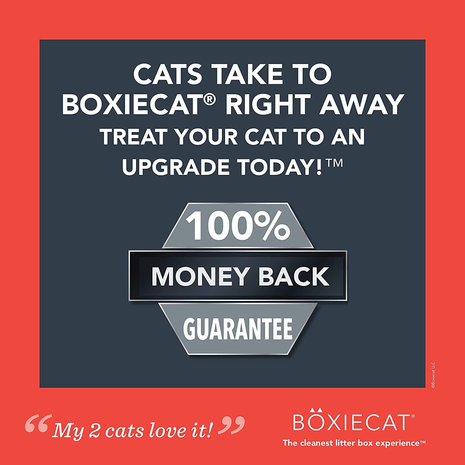 Boxiecat Extra Strength Clay Cat Litter - 40 Lbs  