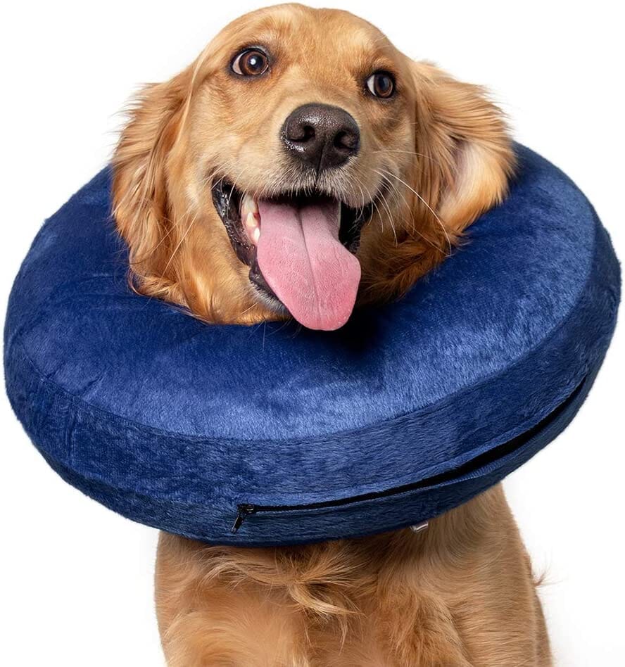 Calm Paws Basic Inflatable Dog Collar - Medium  