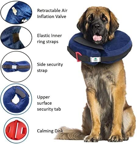 Calm Paws Protective Inflatable Dog Collar with Dog Calming Disk - Extra Large  