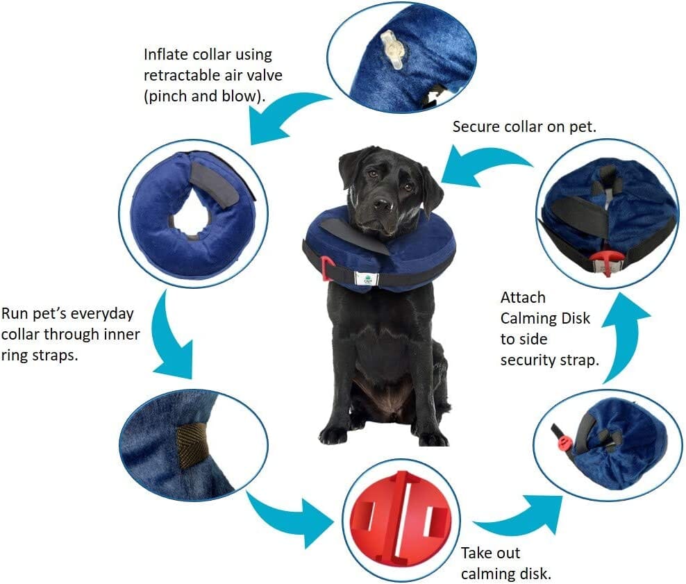 Calm Paws Protective Inflatable Dog Collar with Dog Calming Disk - Large  