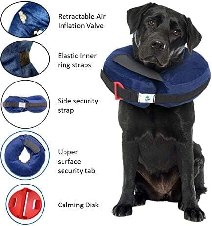 Calm Paws Protective Inflatable Dog Collar with Dog Calming Disk - Large  