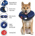 Calm Paws Protective Inflatable Dog Collar with Dog Calming Disk - Medium  