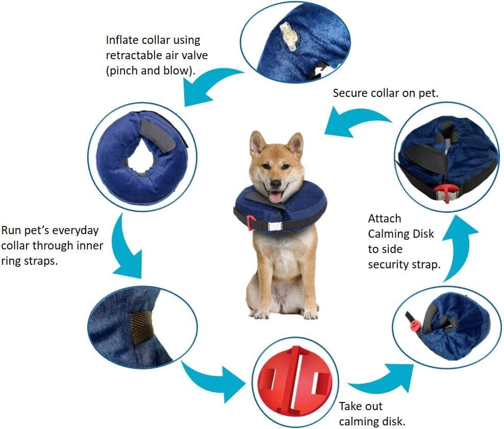 Calm Paws Protective Inflatable Dog Collar with Dog Calming Disk - Medium  