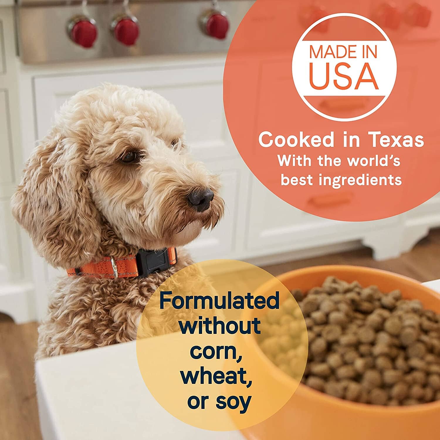 Canidae All Life Stages Large Breed Dry Dog Food - Turkey Meal and Broth - 44 Lbs  