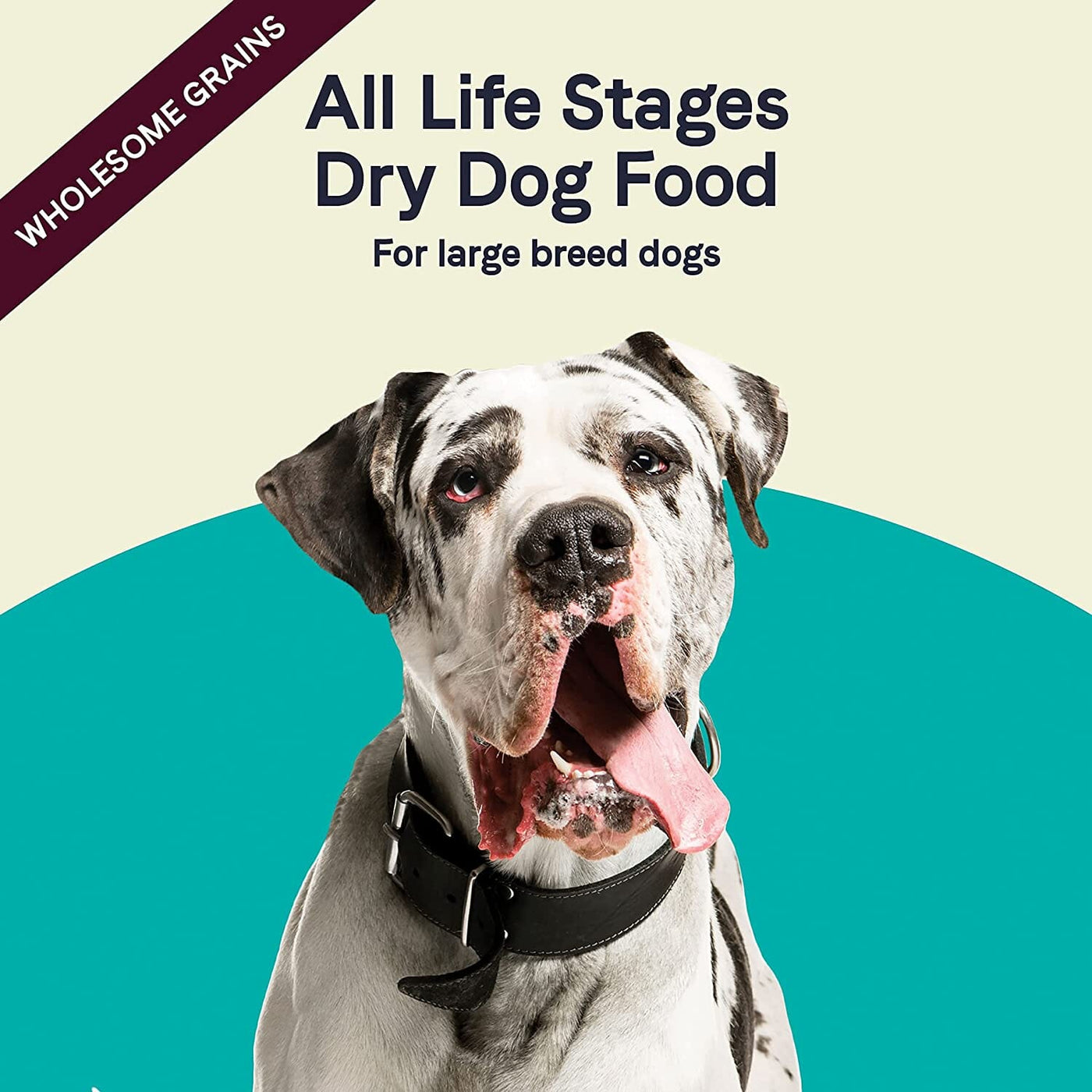 Canidae dog online food 44 lbs